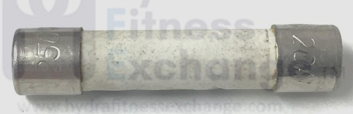 Cybex Trotter Treadmill Glass Tube Fuse 20A MFR-P09EF12367 EF-12367