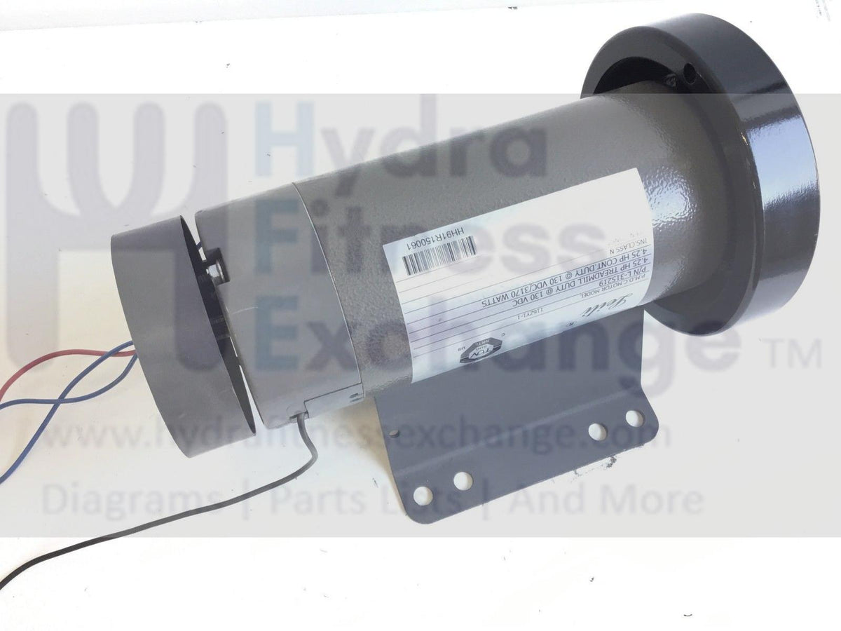 FreeMotion NordicTrack Proform Treadmill DC Drive Motor 392214