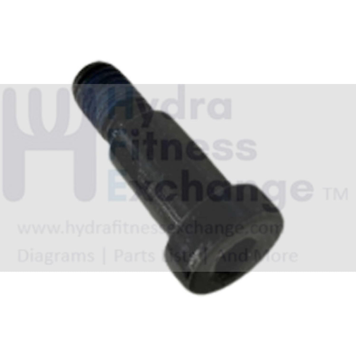 ＊R8920ページ Horizon Fitness T202-06 T101-07 Treadmill Screw M8x1.25Px13L