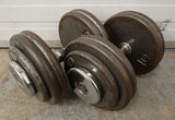47691479