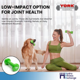 York Barbell Vinyl Coated Fitbell Dumbbell (2LB, Pack of 1) | Durable Anti-Roll Anti-Slip, Color Lime | Ideal for Arm Rows Squats Chest Presses Bicep Curls Walking Jogging & Yoga