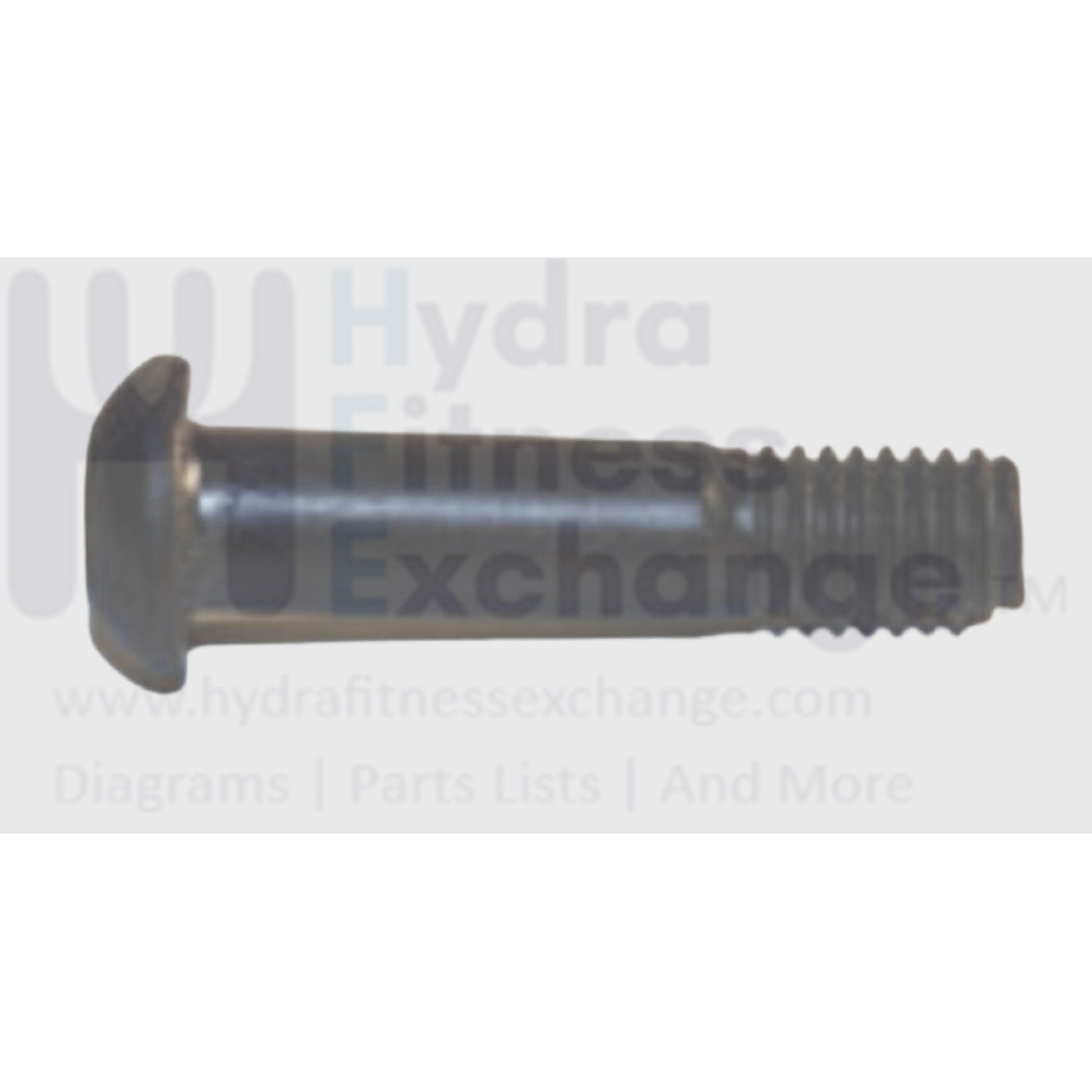 その他 MATRIX 今日、25年前に「マトリックス」がアメリカの映画館で公開されたん