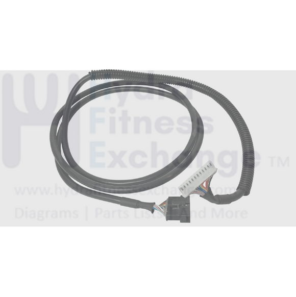 AFG Horizon Fitness Treadmill Low Mid Main Wire Harness 062625-A-hydrafitnessparts
