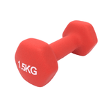 Bowflex Schwinn Stationary Bike 3LB Single Neoprene Dumbbell 1000513093 & 8022700-hydrafitnessparts