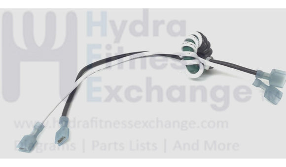 FreeMotion Gold's Gym HealthRider Proform Treadmill Filter Wire Harness 189813-hydrafitnessparts