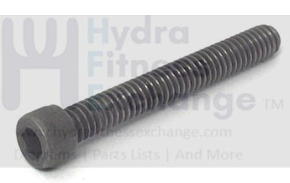 FreeMotion Gold's Gym HealthRider Treadmill Front Rear Roller Screw 1/4