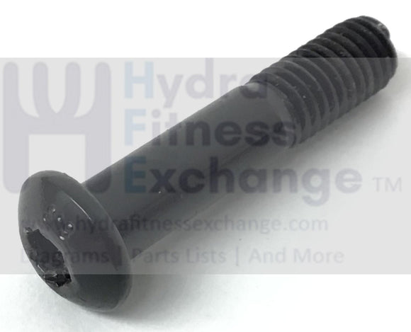 Freemotion Epic NordicTrack HealthRider Elliptical Screw M8 X 38mm 234732-hydrafitnessparts