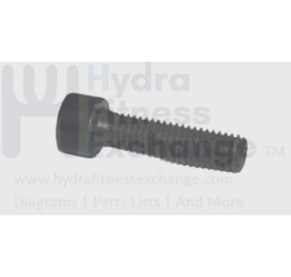 Horizon AFG Fitness Livestrong Treadmill Hex Socket Screw M8 x1.25-30MM 004480-Z-hydrafitnessparts