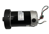 Horizon Fitness 4.1T 5.1T Treadmill DC Drive Motor Set with Flywheel 026309-Z-hydrafitnessparts