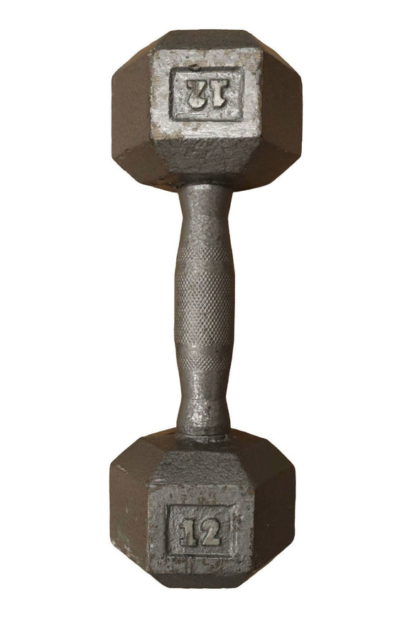 Hydra 12LB Cast Iron Hex Dumbbell Ergo Grip Freeweights & Accessories-hydrafitnessparts