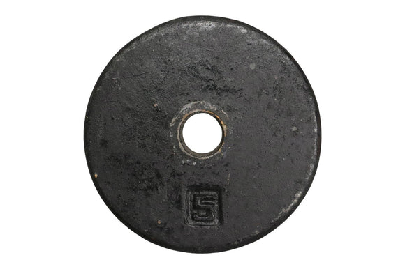 Hydra 5LB Standard Plate Weight Freeweights & Accessories-hydrafitnessparts