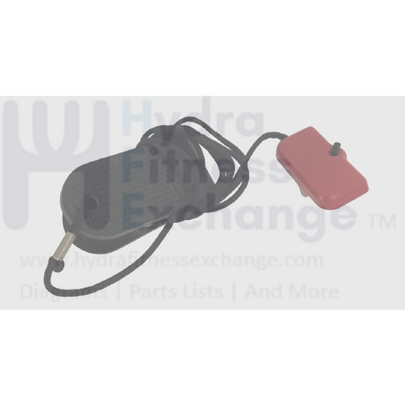 Livestrong Horizon Advanced Fitness Group Treadmill Magnetic Safety Key 1000110297-hydrafitnessparts