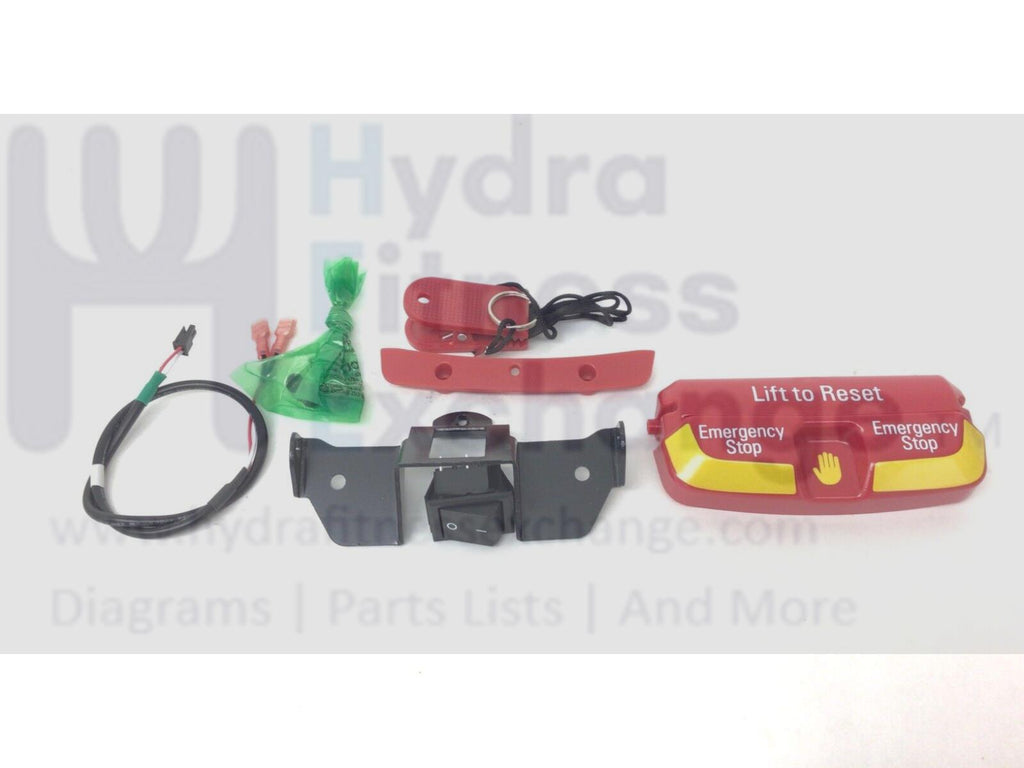 Matrix Fitness Commercial Treadmill Safety Key Set 1000231006