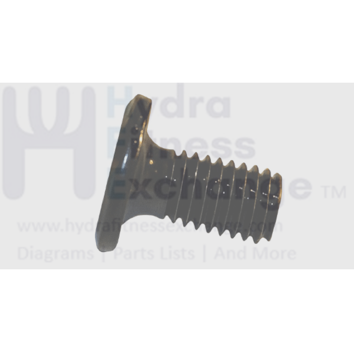Matrix Fitness Strength System Flat Head Hex Socket Screw M8 - 1.25P x ...
