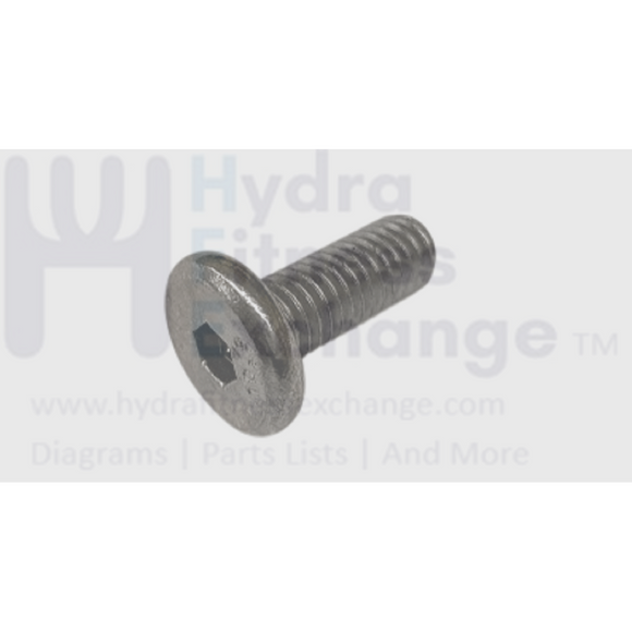 Matrix Strength System Head Hex Socket Screw M8 x 1.25P x 20L 004696-A ...