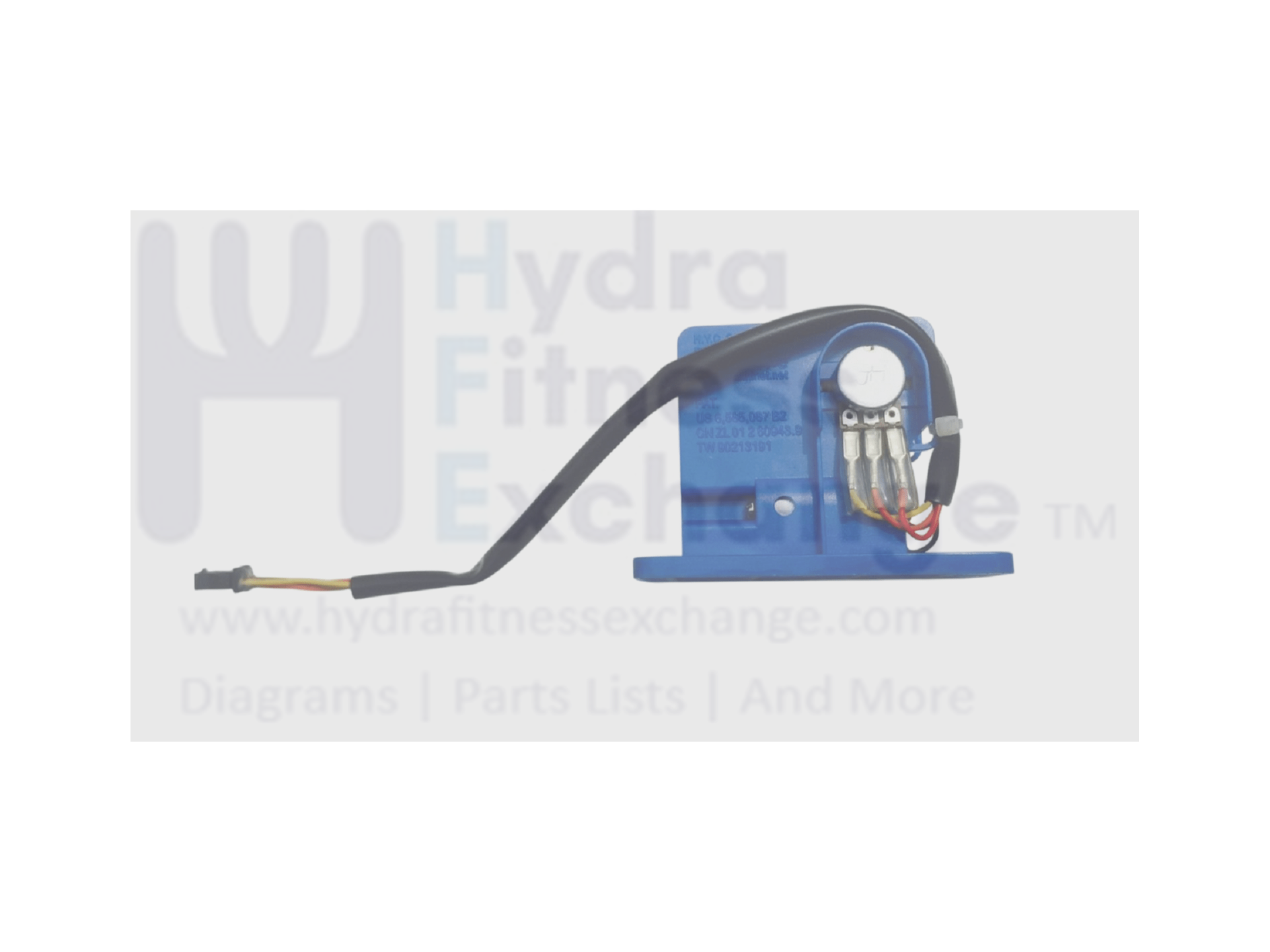 Elliptical Resistance Motor - Fitness Equipment Repair