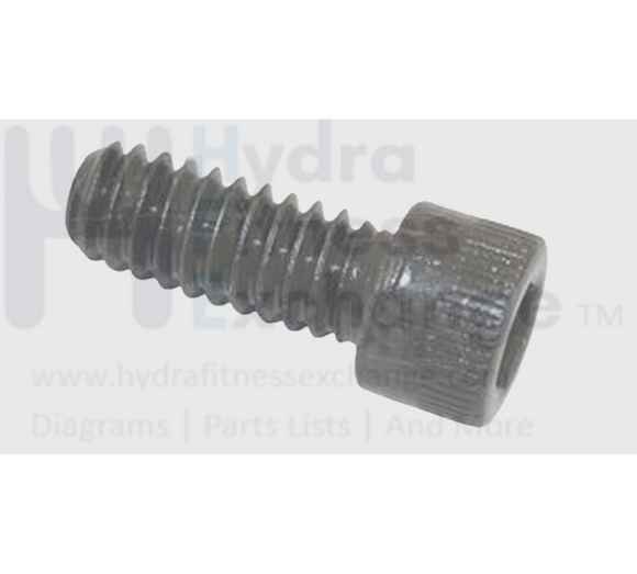 Precor Treadmill Rear End Cap Screw PPP00000CAMN025063-hydrafitnessparts