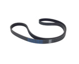 Schwinn Nautilus Recumbent Bike Pulley Drive Belt 40" 6 Ribs 001-0975-hydrafitnessparts