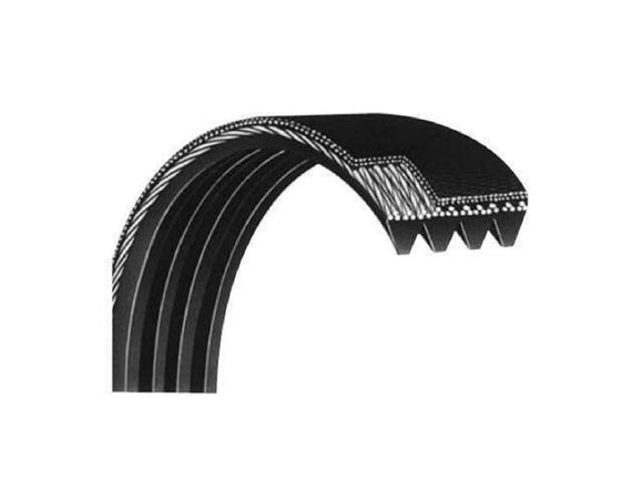 Weslo Proform Nordictrack Icon Gold's Gym Freespirit Epic Stationary Bike Pulley Drive Belt 189293-hydrafitnessparts