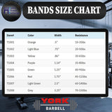 YORK Barbell Pull Up Resistance Bands 19mm - Light Blue (20-50lbs) - Heavy Duty Long Elastic Bands for Workout, Fitness, Training, and Physical Therapy - Large Rubber Bands for Men Women-hydrafitnessparts