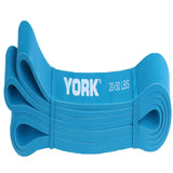 YORK Barbell Pull Up Resistance Bands 19mm - Light Blue (20-50lbs) - Heavy Duty Long Elastic Bands for Workout, Fitness, Training, and Physical Therapy - Large Rubber Bands for Men Women-hydrafitnessparts