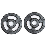 York Barbell 2" ISO-Grip Steel Olympic Weight Plates (10 lb pair) – Durable Steel Composite, Casting Coating, 3-Grip Anti-Pinch Design for Safe, Easy Handling – Home & Commercial Use-hydrafitnessparts