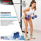 York Barbell Neoprene Coated Fitbell Dumbbell (10LB Pack of 1) | Dumbbell Set for Women & Men Durable Anti-Roll Anti-Slip, Color Royal Blue | Ideal for Arm Rows Squats Chest Presses Bicep Curls-hydrafitnessparts