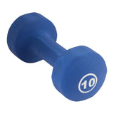 York Barbell Neoprene Coated Fitbell Dumbbell (10LB Pack of 1) | Dumbbell Set for Women & Men Durable Anti-Roll Anti-Slip, Color Royal Blue | Ideal for Arm Rows Squats Chest Presses Bicep Curls-hydrafitnessparts