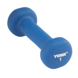 York Barbell Neoprene Coated Fitbell Dumbbell (1LB Pack of 1) | Dumbbell Set for Women & Men Durable Anti-Roll Anti-Slip, Color Blue | Ideal for Arm Rows Squats Chest Presses Bicep Curls-hydrafitnessparts