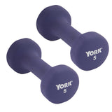 York Barbell Neoprene Coated Fitbell Dumbbell (5LB Pack of 2) | Dumbbell Set for Women & Men Durable Anti-Roll Anti-Slip, Color Purple | Ideal for Arm Rows Squats Chest Presses Bicep Curls-hydrafitnessparts