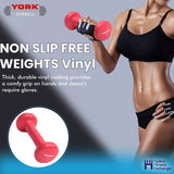 York Barbell Vinyl Coated Fitbell Dumbbell (1LB, Pack of 1) | Dumbbell Set for Women & Men Durable Anti-Roll, Anti-Slip, Pink | Ideal for Arm Rows, Squats, Chest Presses, Bicep Curls, Jogging & Yoga-hydrafitnessparts