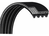 Treadmill Motor Belt 248094 19” 483J 8 Rib 190J or 248094