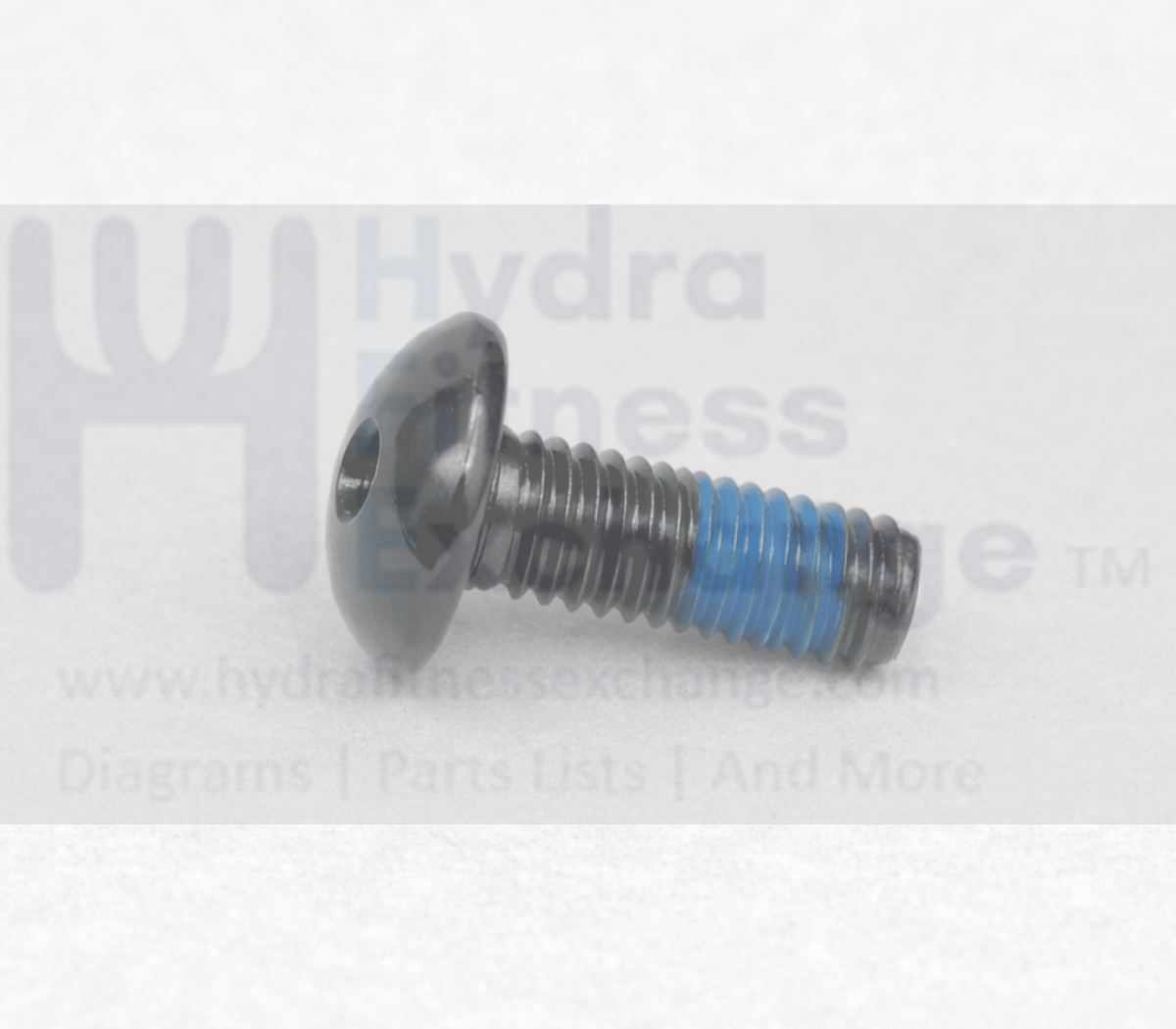 Matrix Fitness Strength System Button Head Hex Socket Screw M6 - 1.0P ...