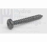 Matrix Fitness Strength System Button Head Tapped Phillip Screw 40 x 30L 020186 - 00 - hydrafitnessparts