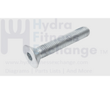 Precor Strength System Flat Head Cap Hex Socket Screw M12x70 PPP0000MAKCE012070 - hydrafitnessparts