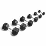 York Barbell Freeweight Rubber Hex Dumbbell Set 55 to 100 lb Pair Set - hydrafitnessparts