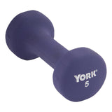 York Barbell Neoprene Coated Fitbell Dumbbell (5LB Pack of 1) | Dumbbell Set for Women & Men Durable Anti - Roll Anti - Slip, Color Purple | Ideal for Arm Rows Squats Chest Presses Bicep Curls - hydrafitnessparts