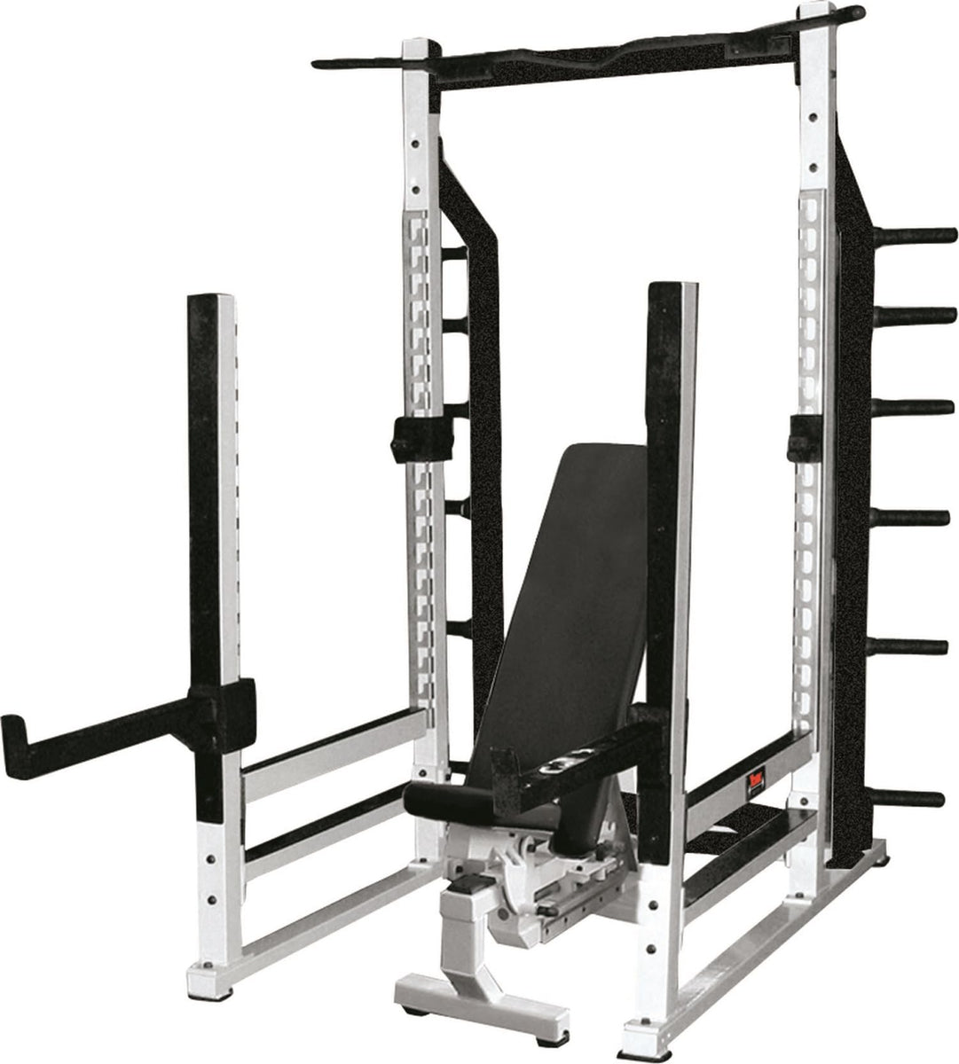 YORK STS Multi-Function Power Rack White, Heavy Duty Strength Training ...