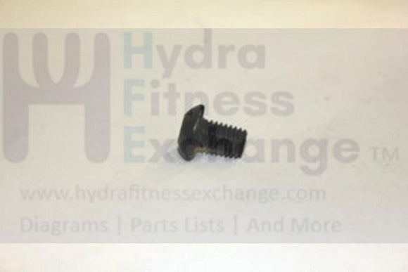 AFG 3.0AE 4.0AE 5.0AE Elliptical Socket Hex Screw M8X1.25PX12L 020286-Z-hydrafitnessparts