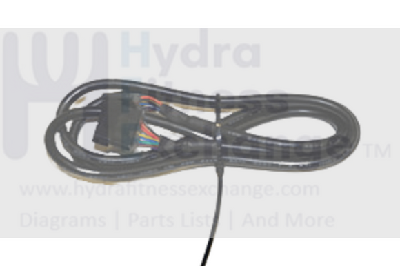AFG Horizon Fitness Elliptical Display Console Cable Wire Harness 1000101658-hydrafitnessparts