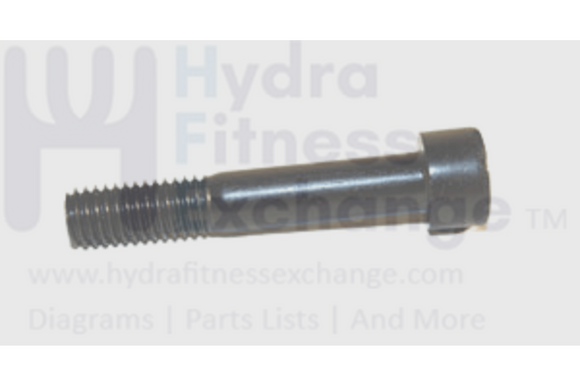 AFG Horizon Vision Fitness Elliptical Screw M8x1.25Px45L-16L 1000113282-hydrafitnessparts