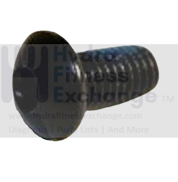 AFG Horizon Vision Fitness Elliptical Socket Hex Screw M8x1.25Px15L 004586-AB-hydrafitnessparts