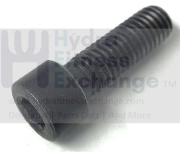 AFG Horizon Vision Fitness Treadmill Front Roller Screw M8-1.25