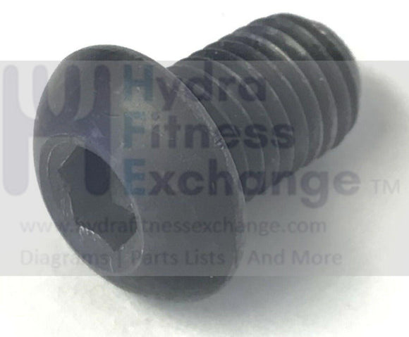 Bodyguard Club Stepper Step Button Head Screw 5/16