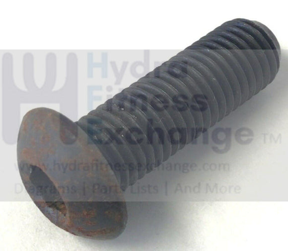 Bodyguard Club Stepper Step Pedal Arm Button Head Screw StepClub-PABS-hydrafitnessparts