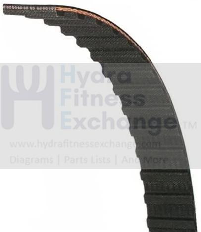 Bodyguard Fitness SS Club Executive Commercial Stepper Drive Belt 390 L Climber-hydrafitnessparts