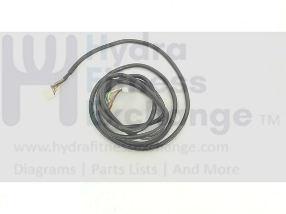 Bodyguard Organic V5 Upright Bike 10 pin Wire Harness-hydrafitnessparts