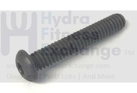 Bodyguard Radisson Plus Treadmill Button Head Screw 1-4