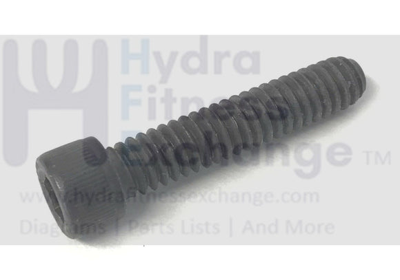 Bodyguard Radisson plus Treadmill Socket Cap Screw 1-4