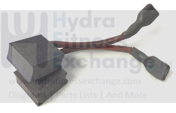 Bodyguard T270 Treadmill Leeson Picttoss Brush Pair .38/77x.77